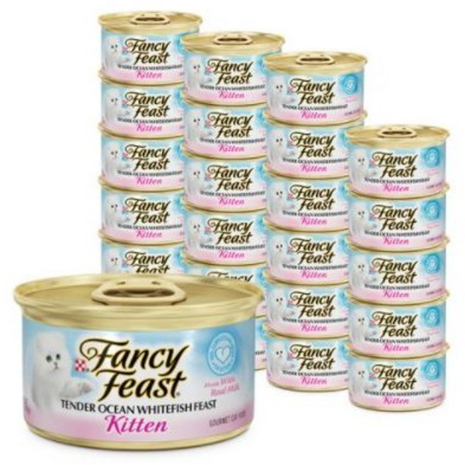 팬시피스트 텐더 키튼 주식캔, 흰살생선, 85g, 6개