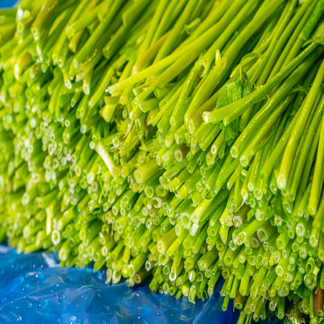 팡이/ 청도한재미나리(특품), 4개, 200g