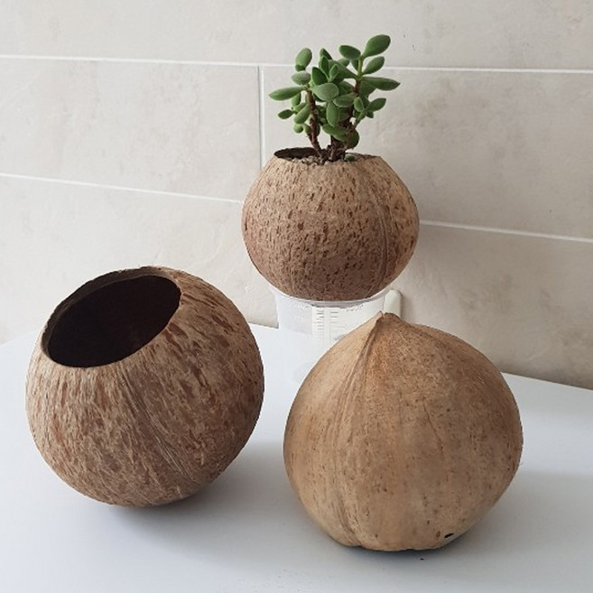 천연 코코넛 화분 행잉 화분, 추가안함
