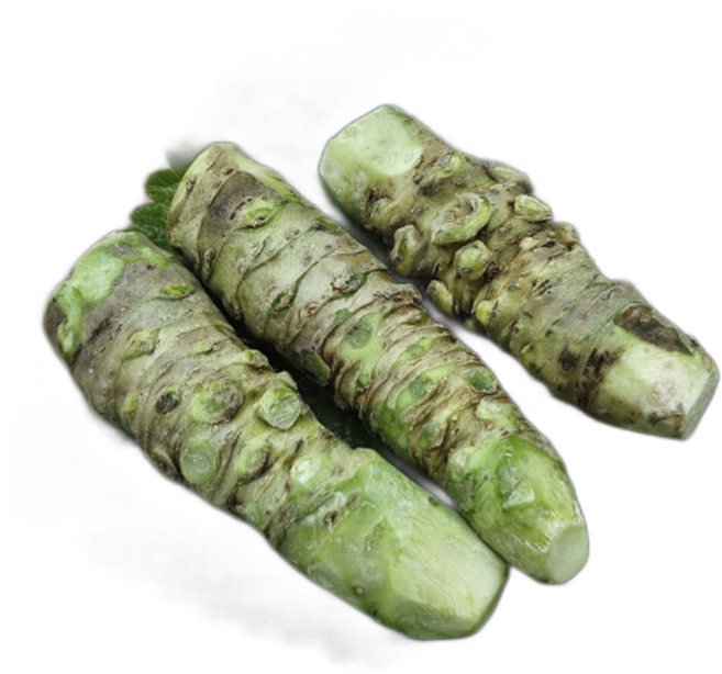 갈아먹는 생와사비 뿌리 100%와사비 와사비뿌리 중국운남성 내외 (3-4뿌리), 1세트, 70g