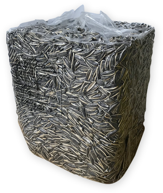 홍홍 중국식품 해바라기씨 중국간식 벌크 대용량 5kg, 1개