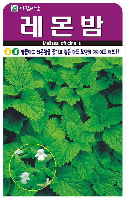 아람종묘 허브 레몬밤 씨앗 300p, 1개
