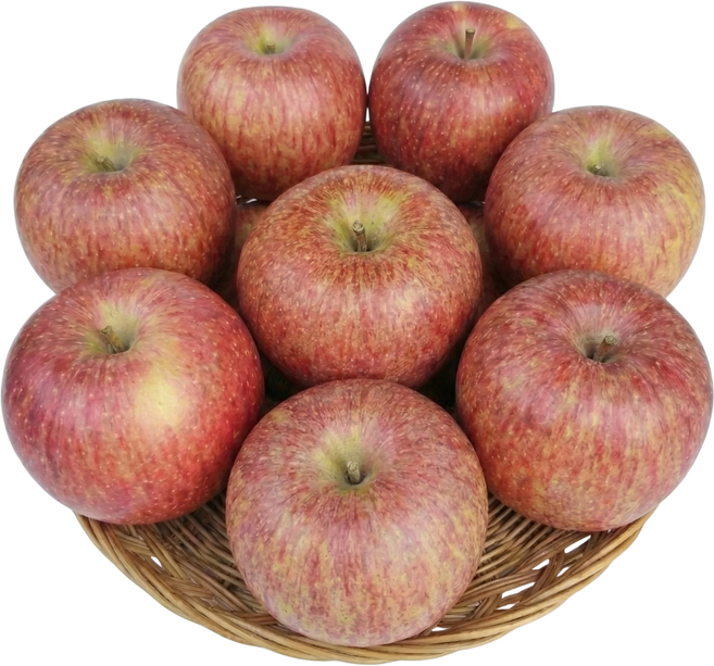 농부의 아들 달콤가득 경북 부사 사과 꿀사과, 1박스, 5kg_특대과