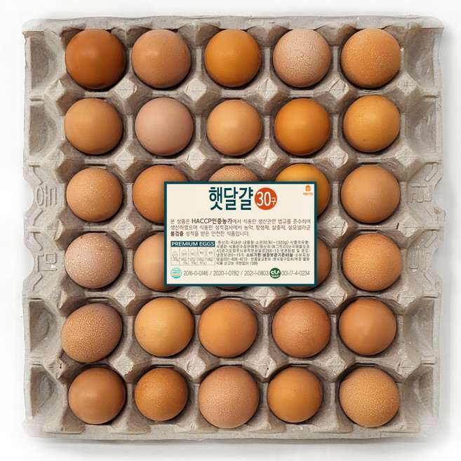[농장직송] 에그트리 항생제 없는 안심 햇달걀 중란(44~51g small), 30구, 1개