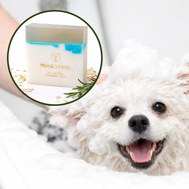 멍스파파 강아지비누 천연 오트밀비누 샴푸바(민감피부용), 1개, 130g - 쿠팡
