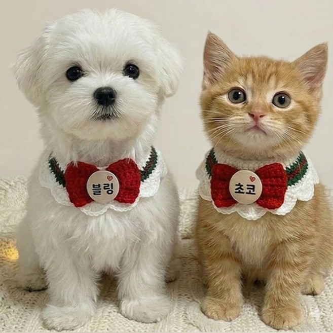 강아지 고양이 니트 케이프 야광 이름 브로치, 1개, 레드