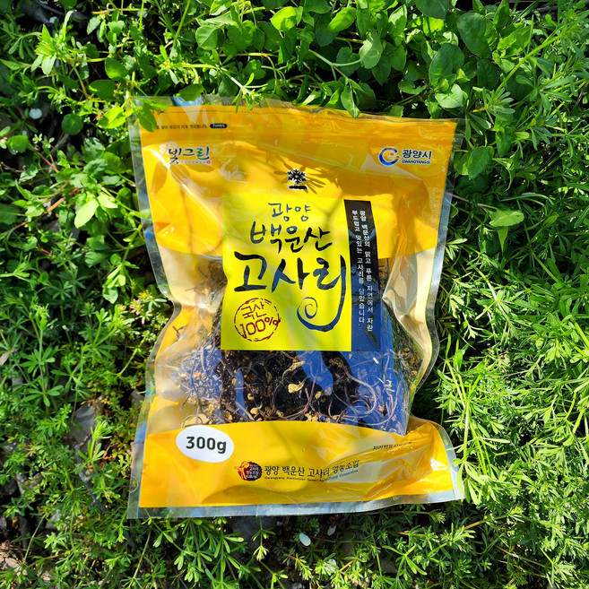 [서기네농장]광양 백운산 고사리 햇고사리 말린고사리 건고사리, 건고사리300g, 1개