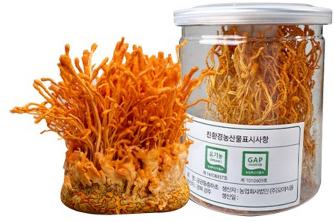 (국산)금관 동충하초 원형 유기농 건조 35g, 1개