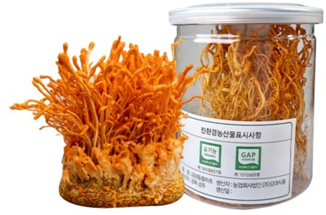 (국산)금관 동충하초 원형 유기농 건조 35g, 1개 - 쿠팡