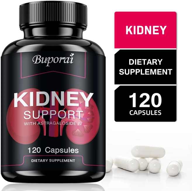 신장 지원 - 혈액순환 건강한 신장 기능 및 담낭 정화, 2개, 60정 - 쿠팡