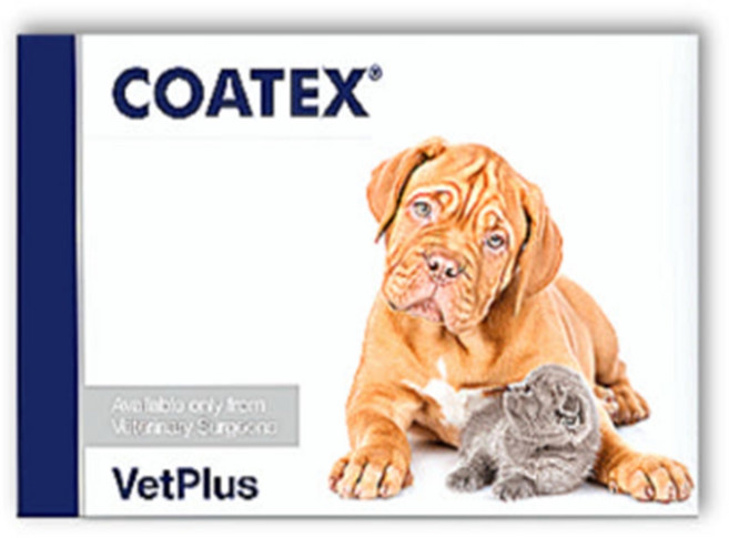 강아지 고양이 독 캣 코텍스 블리스터 60캡슐 피부 피모, 60정, 피부/피모, 2개