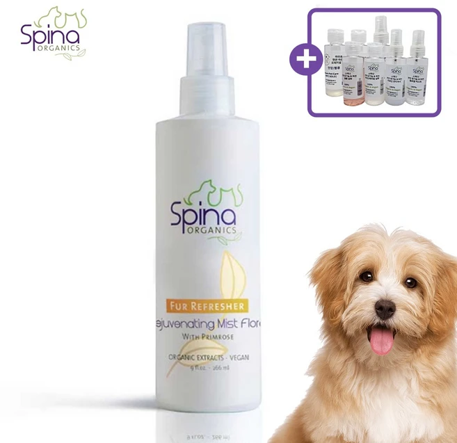 스피나 퍼 리프레셔 리저브네이팅 미스트 플로랄 with 프림로즈 266ml, 1개 - 쿠팡