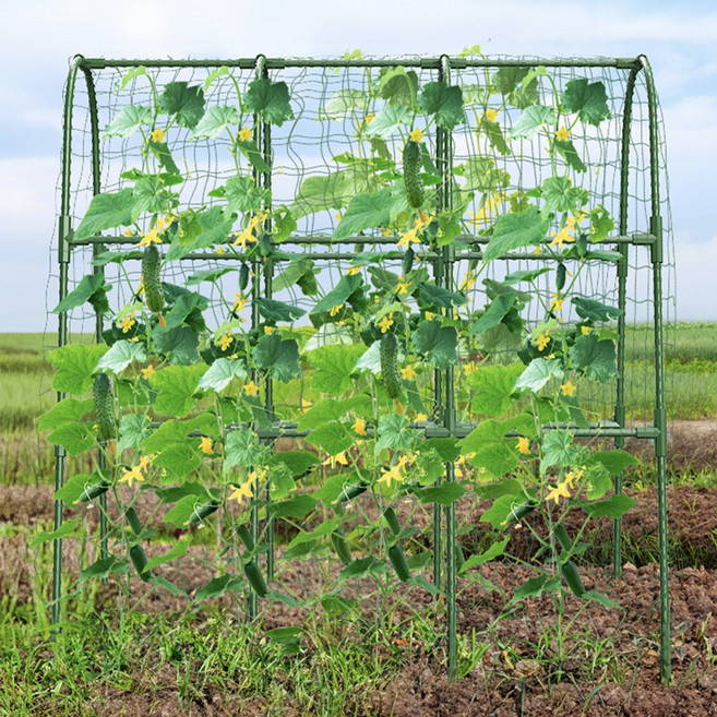 21세기트랜드 쑥쑥 넝쿨 식물 지지대 토마토 포도 오이 호박 덩굴 지주대, 직경 11mm