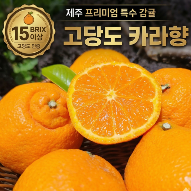 [프리미엄] 제철과일 초고당도 제주 카라향, 1박스, 2kg (대과)