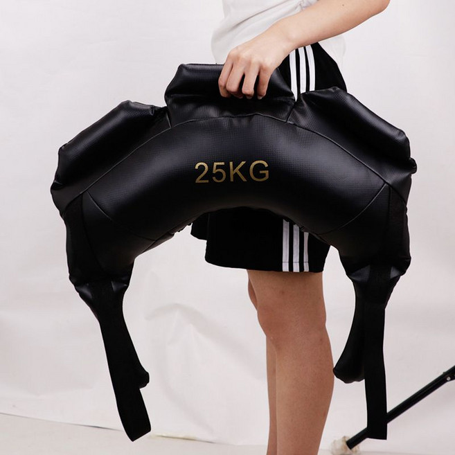 레슬링 훈련 코어 모빌리티운동 웨이트백 스쿼트 샌드백, 25kg, 1개