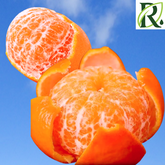 [ROYAL] 고당도 첫출하 제주산지 카라향, 1박스, 2kg