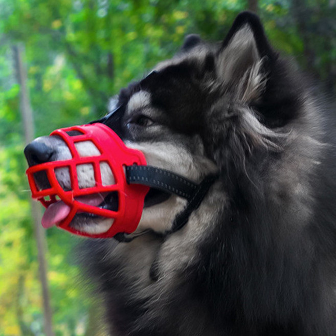디지펫 강아지 입마개 소형견 중형견 대형견 마스크, 6호, 레드, 1개