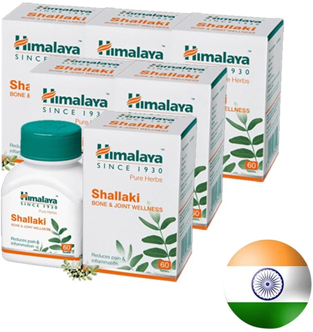 히말라야 보스웰리아 샬라키 Shallaki 60정 x 6통 360정, 6개 - 쿠팡