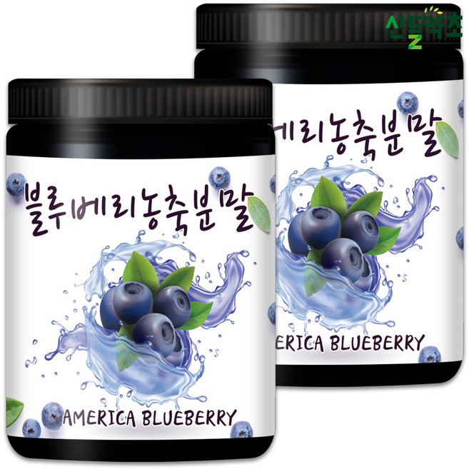 산들약초 미국산 블루베리농축분말 (블루베리농축액), 300g, 2개