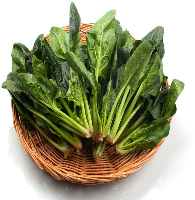 새벽경매 노씨고집 국내산 남해 시금치, 1개, 5kg