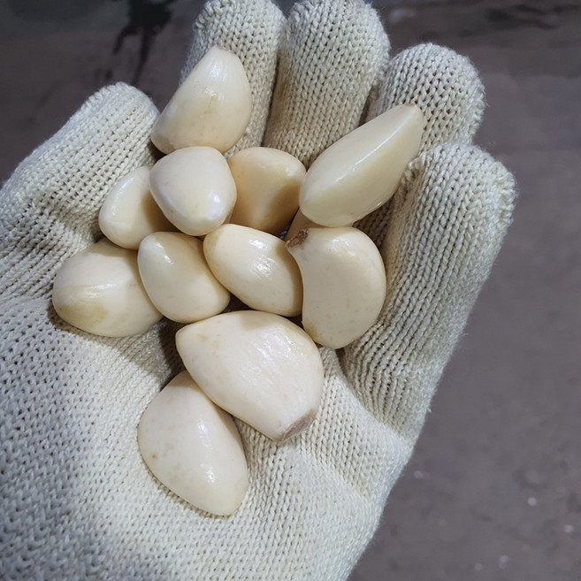 국내산 창녕마늘 산지직송 신선한 깐마늘 KG 판매, 대, 1개, 3KG