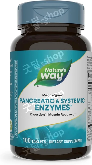 네이처스웨이 메가자임 100정 판크레아틴 시스테믹 엔자임 - 쿠팡
