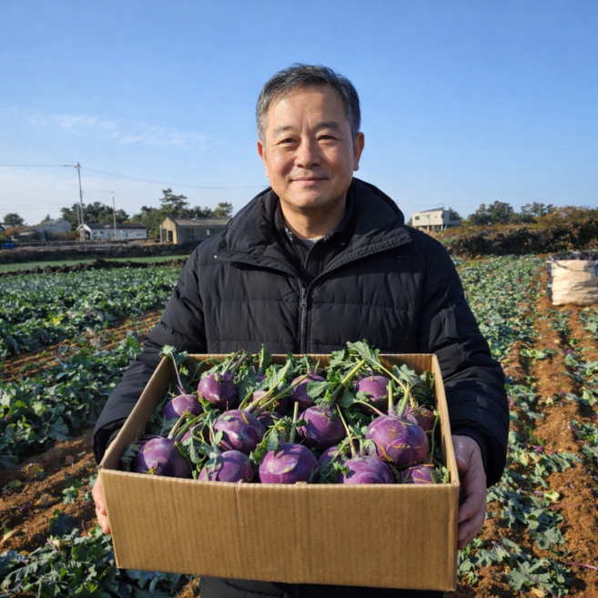 [작년재구매1위] 해풍맞은 제주 콜라비 특품, 1개, 3kg