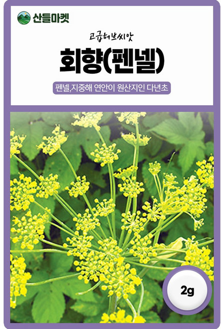 다농 회향 펜넬 씨앗 2g, 1개