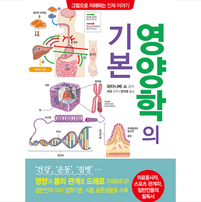 성안당 영양학의 기본 +미니수첩제공, 와타나베쇼(감수)