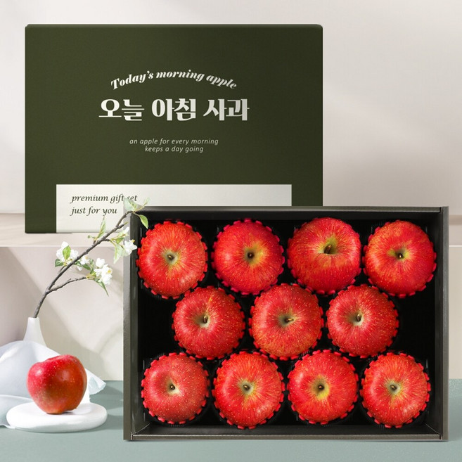 [오늘아침사과] 사과 선물세트 3kg 11과, 1