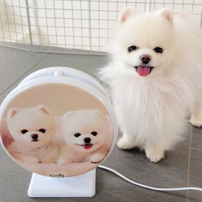 스카이원 전기 모기퇴치기 가정용, 스카이제로미니 인쇄형