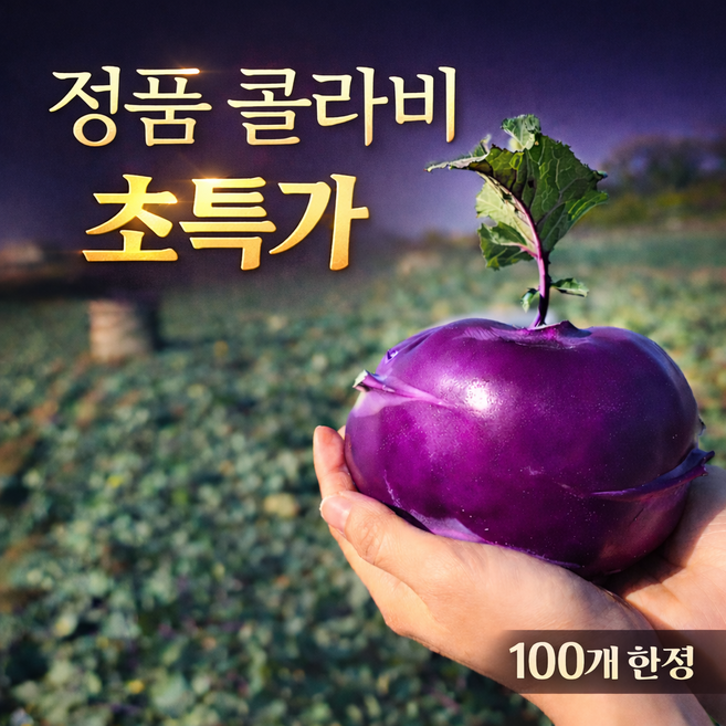 [산지직송] 제주 콜라비 아삭달큰 고당도 당일수확, 10kg, 1박스