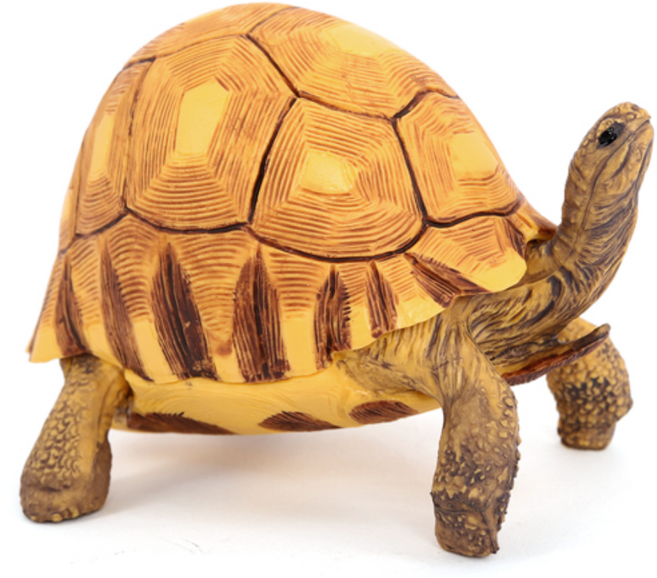 제트피규어 쟁기거북 거북이 동물 피규어 장난감 모형, 1개