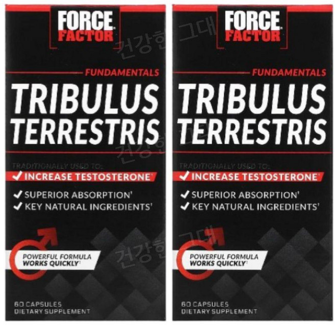 포스팩터 트리블러스 트리뷸러스 500mg 60캡슐 2개 남성 운동부스터 Tribulus, 60캡슐 2병, 60정