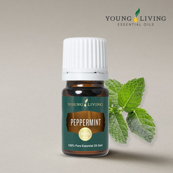 영리빙 아로마 페퍼민트 에센셜 오일 5ml, 1개