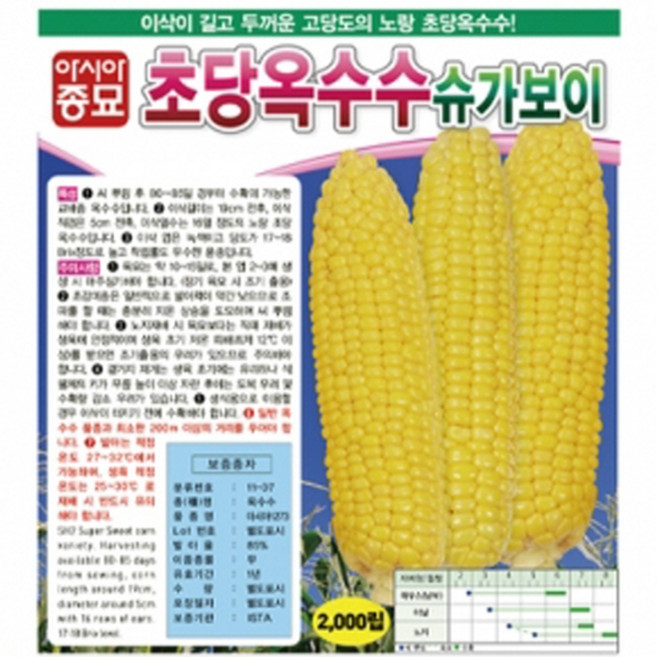 초당옥수수 슈가보이 100립 ASA, 1개