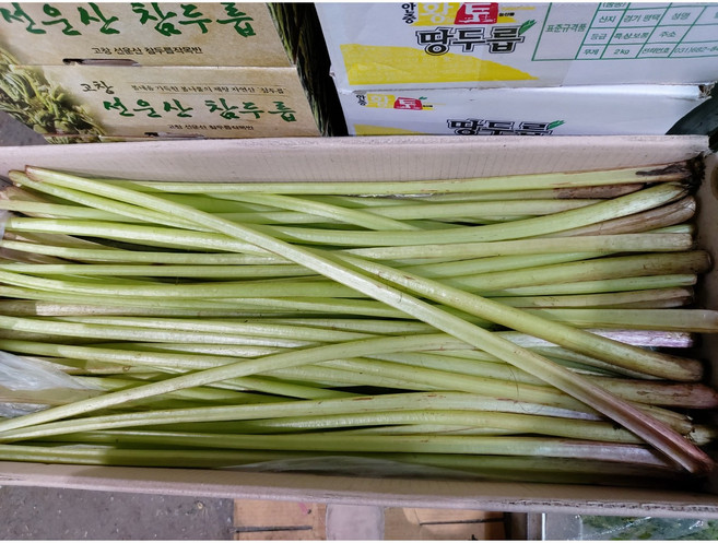 국내산 머위대 4kg, 1개