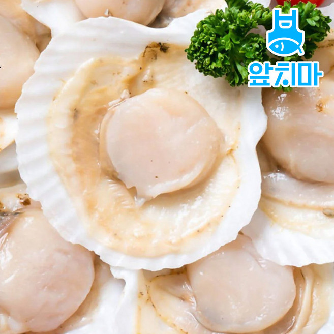 반가리비 가리비 구이, 1박스, 1.8kg(50-60미)