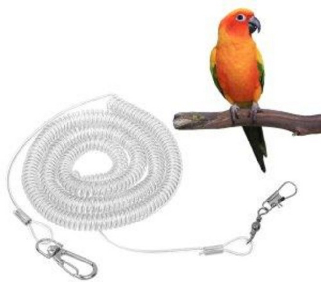 앵무새 투명 스프링 리드줄(소 대) 코뉴어 모란 왕관, 소형(스프링길이46cm), 1개