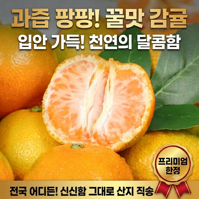 [농장직송] 제주 햇 극조생 노지감귤 밀감, 1박스, 3kg