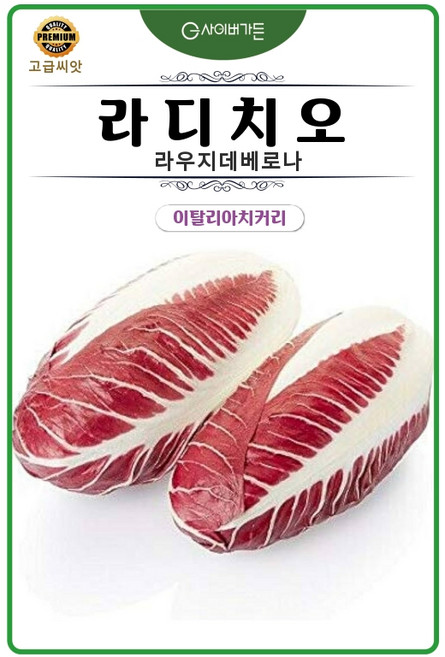 재미있는씨앗, 1개