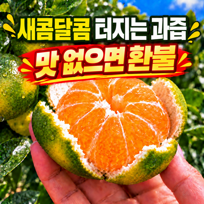 [제철 감귤] 제주 고당도 감귤 농가직송, 1박스, 로얄과 10kg, 1박스