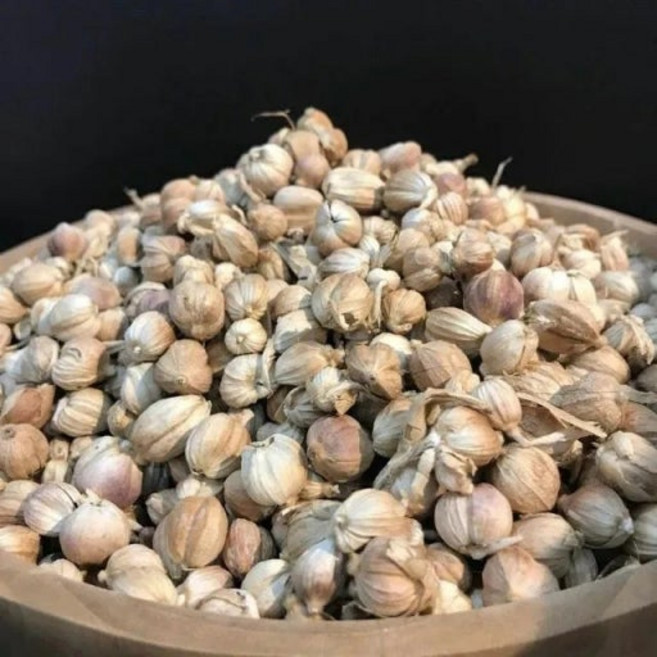 kapulaga인도네시아산소두구, kapulaga, 1개, 100g