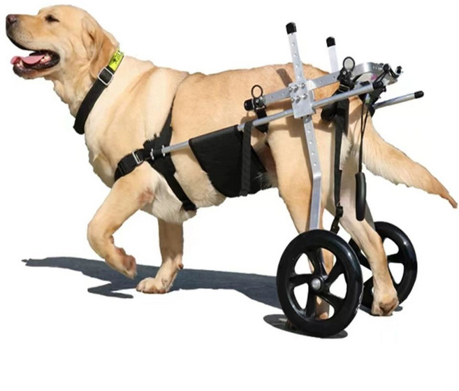 대형견 척추 보조기 2륜 리프트 15-20kg, L 20-25kg, 1개, 1L