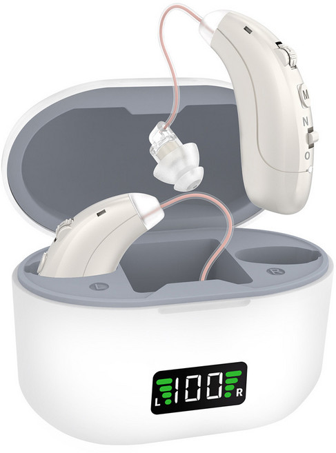 스마트 지능형 소음감소 귀걸이형 청력보조기 음성증폭기 깨끗한 음질, 1개, 화이트실버(은색)