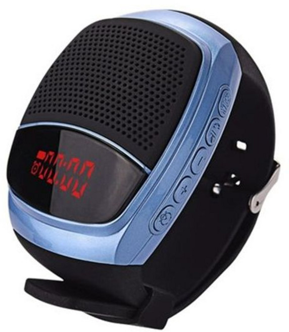 LG 엑스붐GO 무선 휴대용 PL2 강력한, B90 표시 장식 블루 리더기 포함, 패키지 10 32G 7000곡