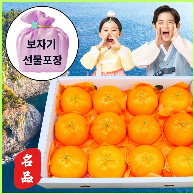 왕가온 프리미엄 한라봉 레드향 천혜향 최고급 과일 명절 선물 세트, 1세트, 1.레드향 선물용 3kg