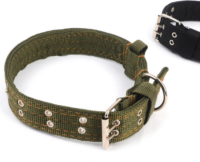 대형견용 벨트타입 애견 목줄