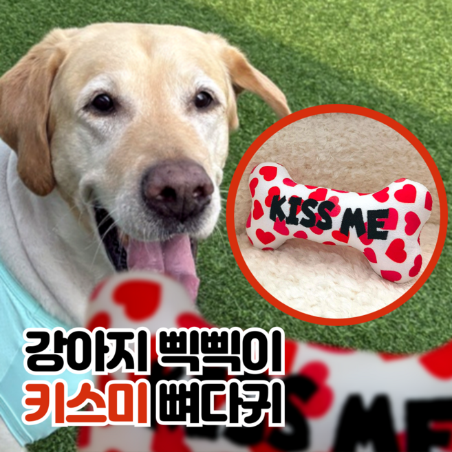 LETOJ 강아지 하트 뼈다귀 장난감, KISS ME, 1개
