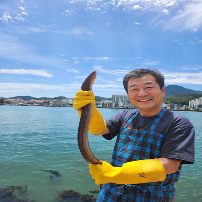 (특가) 자연산 손질 바다 장어 1kg 국내산 대왕 로얄사이즈 소스2종 포함 특대, 1개, 1kg(2미)